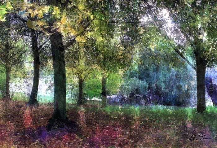 Autumn impressions at St. Regent's Park